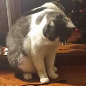 Meet your Posher, Alexandra